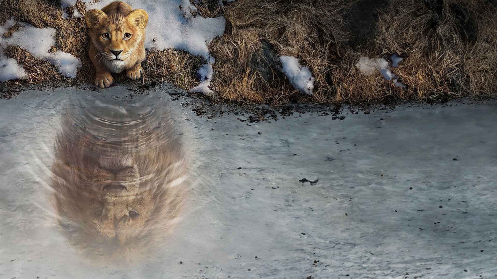 فیلم موفاسا : شاه شیر Mufasa: The Lion King 2024